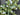 Spring Eucalyptus Wreath with White Flowers - TwoInspireYou