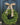 Everyday Boxwood Wreath