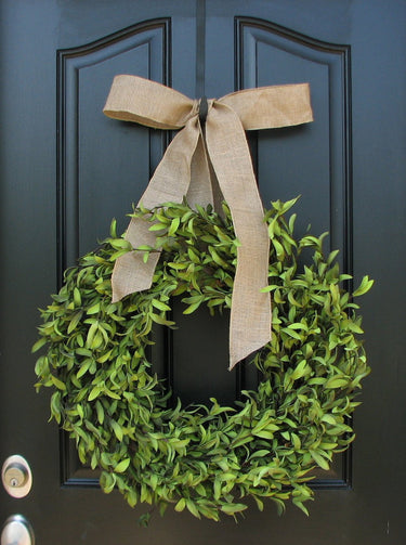 Everyday Boxwood Wreath