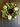 Realistic Magnolia Flower Wreath