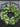 Magnolia Home Wreath