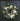 Everyday Cream Peony Wreath, up close view of cream peony wreath on black front door