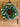 Spring Ranunculus Wreath with Eucalyptus - TwoInspireYou