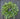 Year Round Forest Green Willow and Bay Leaf Wreath - TwoInspireYou